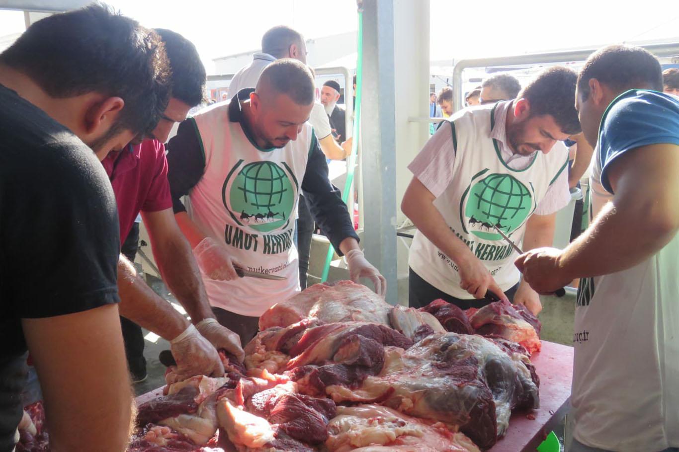 Umut Kervanı Vakfı kurban vekâletlerini yerine getirdi Umut Kervanı Vakfı kurban vekâletlerini yerine getirdi